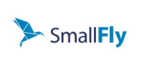 Small Fly Airlines