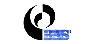 BASe Airlines