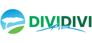Divi Divi Air