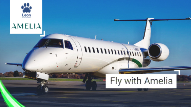 Fly Amelia